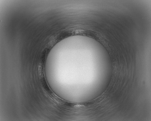X0000055980222200508190738
