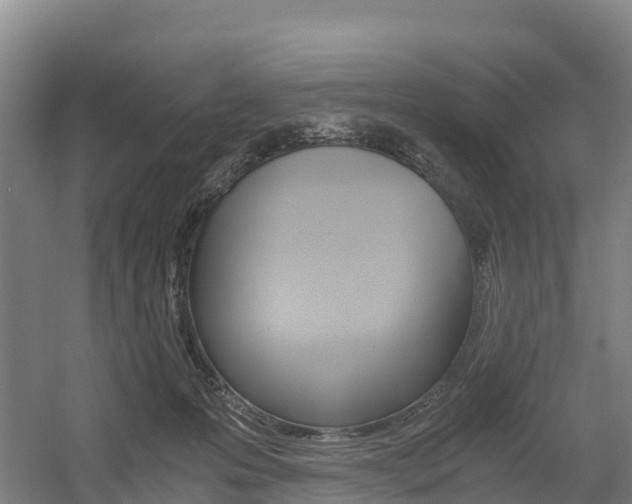 X0000055980223200508190738