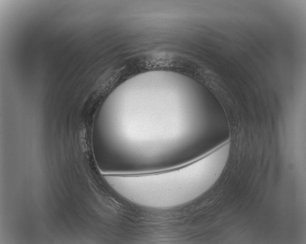 X0000055980224200508190738