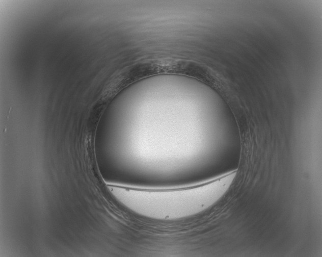 X0000055980225200508190738
