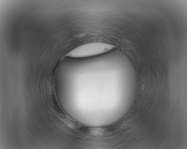 X0000055980226200508190738