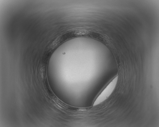X0000055980227200508190738