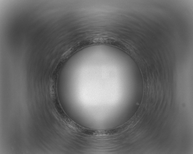 X0000055980228200508190737