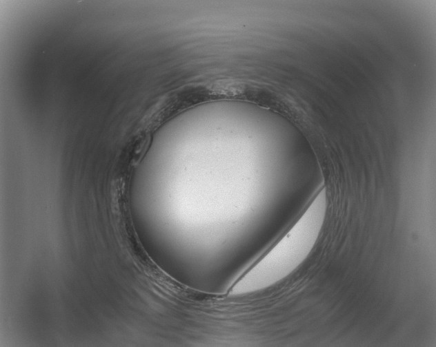 X0000055980229200508190737
