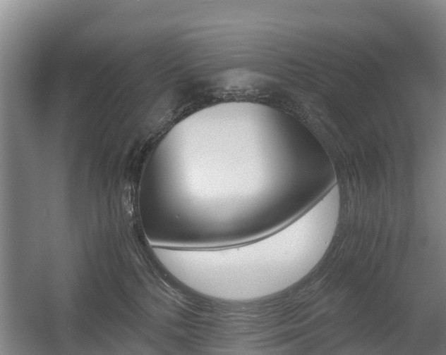 X0000055980232200508190737