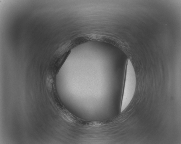 X0000055980235200508190737