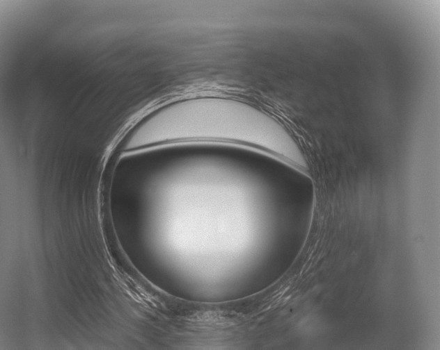 X0000055980244200508190737