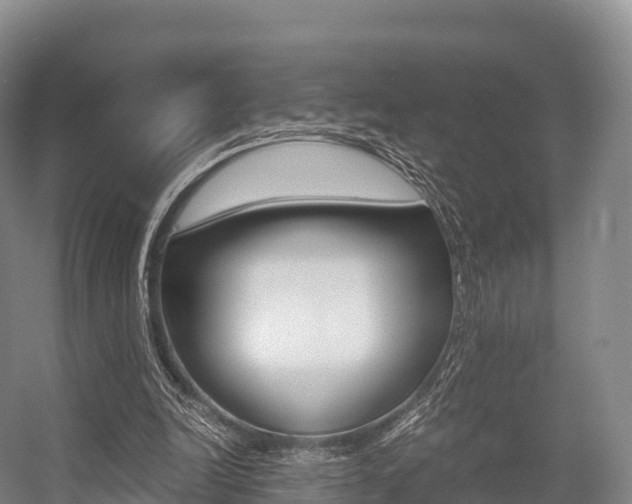 X0000055980246200508190737