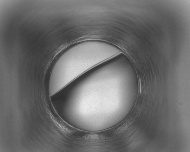 X0000055980253200508190737