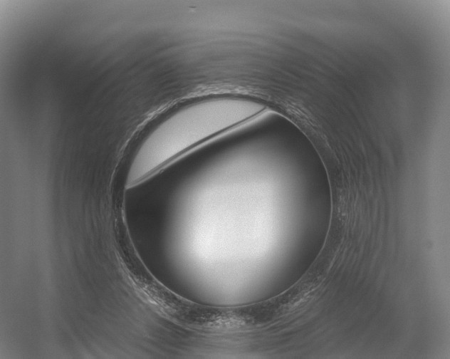 X0000055980256200508190737