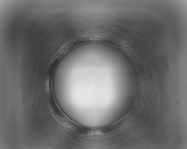 X0000055980262200508190737