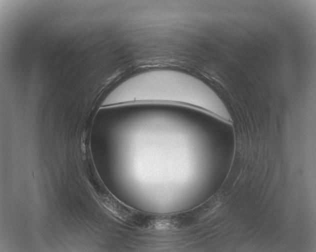 X0000055980264200508190737