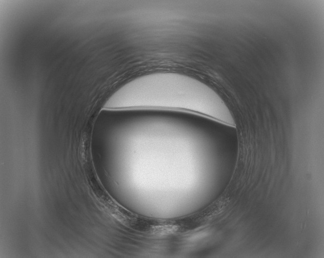 X0000055980266200508190737