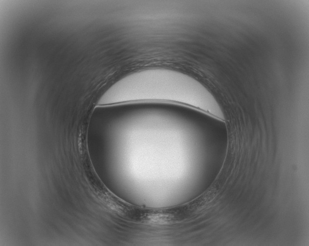 X0000055980268200508190737