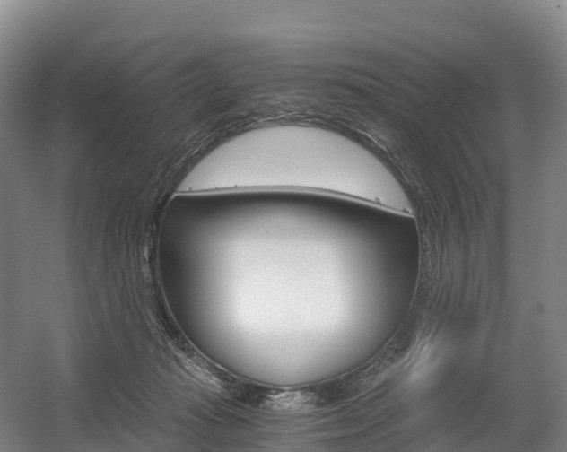 X0000055980269200508190737