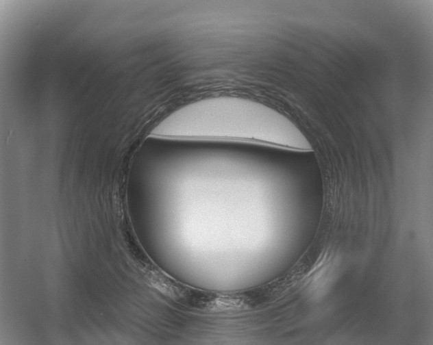 X0000055980270200508190737