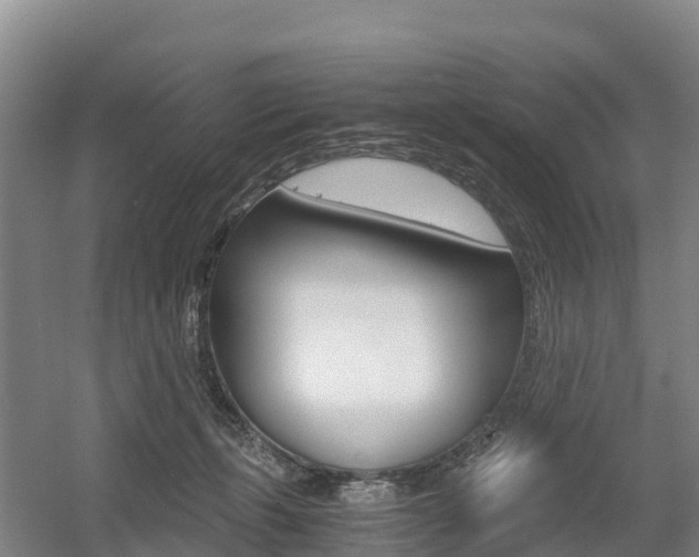 X0000055980271200508190737