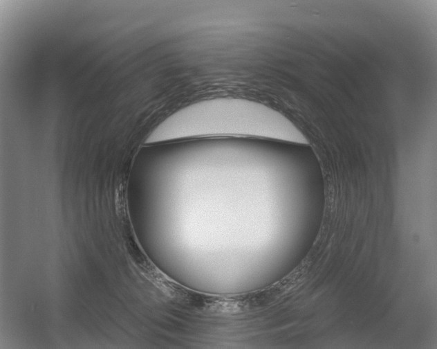 X0000055980276200508190737