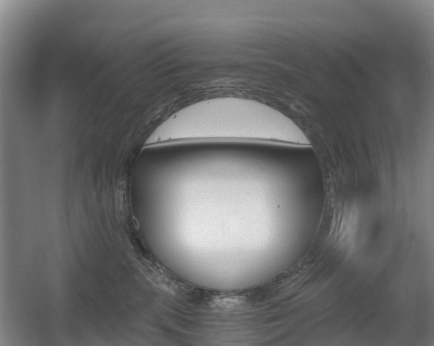 X0000055980283200508190737