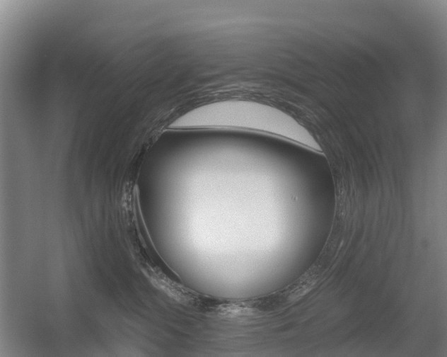 X0000055980284200508190737
