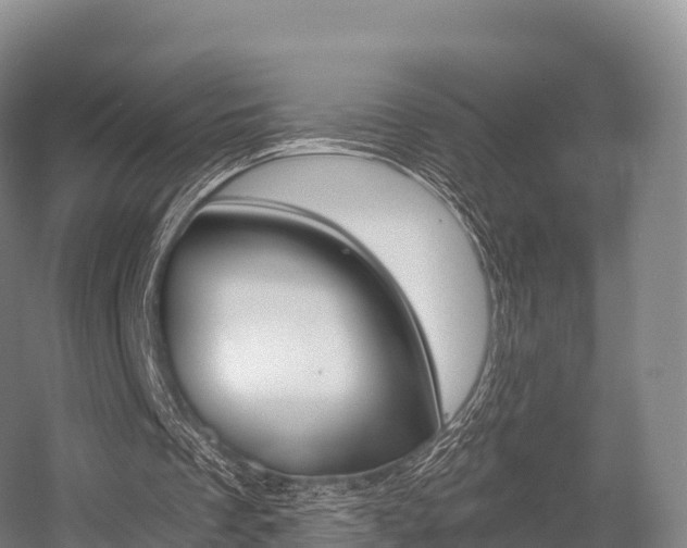 X0000055980289200508190736