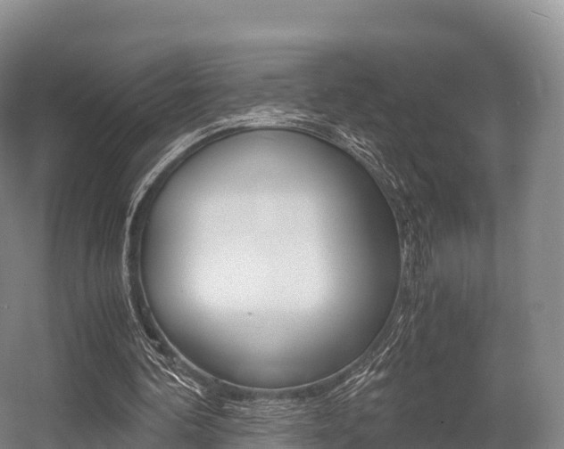X0000055980292200508190736