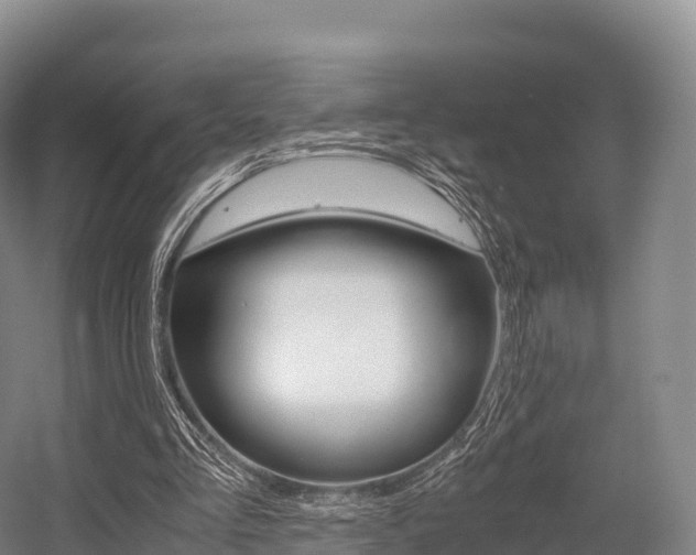 X0000055980293200508190736