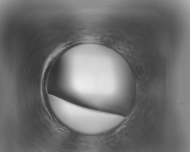 X0000055980294200508190736