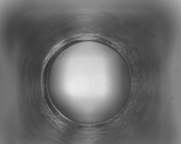 X0000055980296200508190736