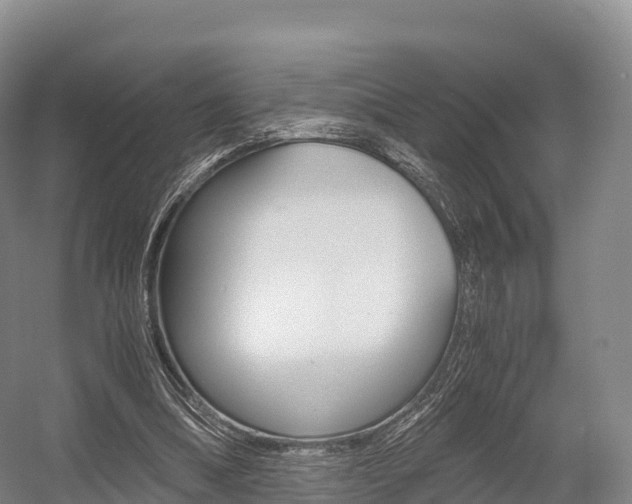 X0000055980298200508190736