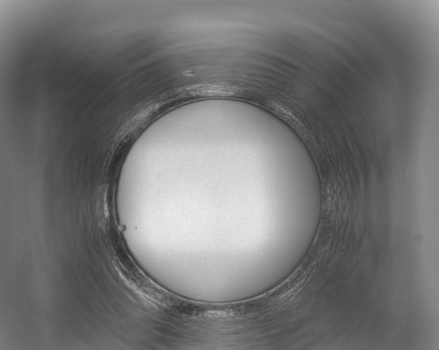 X0000055980302200508190736