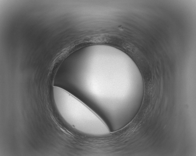 X0000055980303200508190736