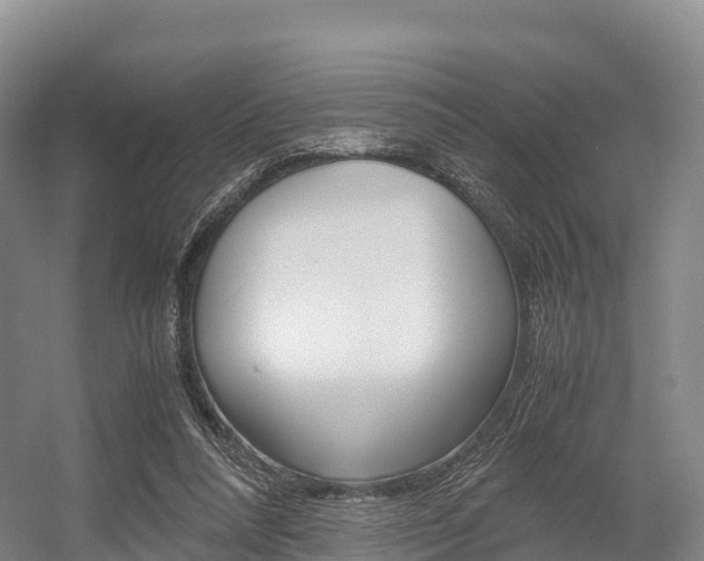 X0000055980304200508190736