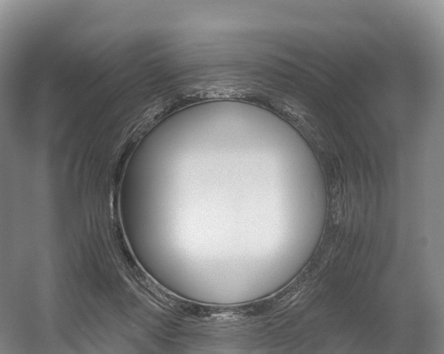 X0000055980310200508190736