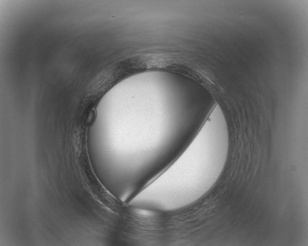 X0000055980311200508190736