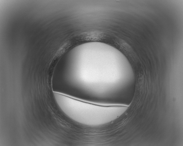 X0000055980312200508190736