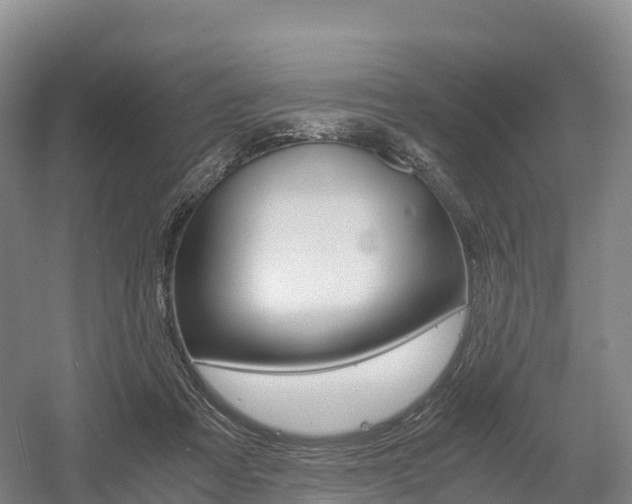 X0000055980313200508190736