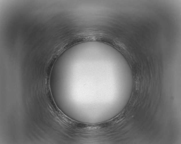 X0000055980314200508190736
