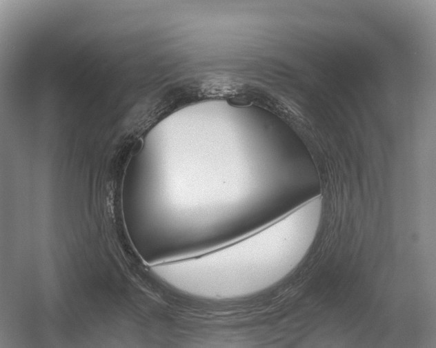 X0000055980315200508190736