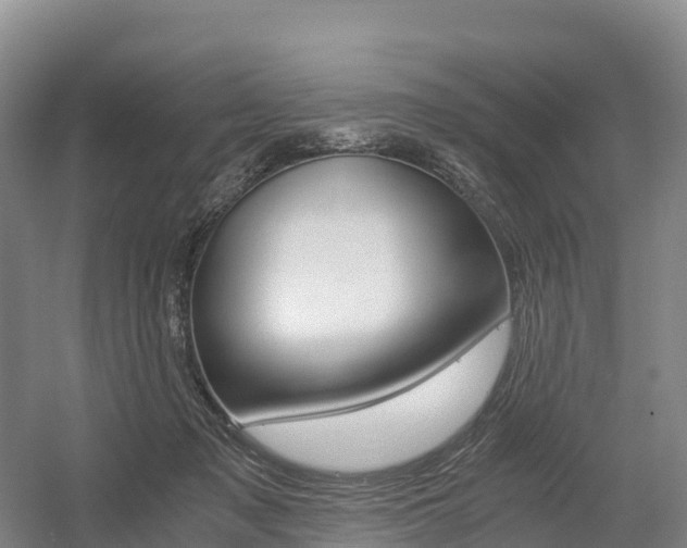 X0000055980317200508190736