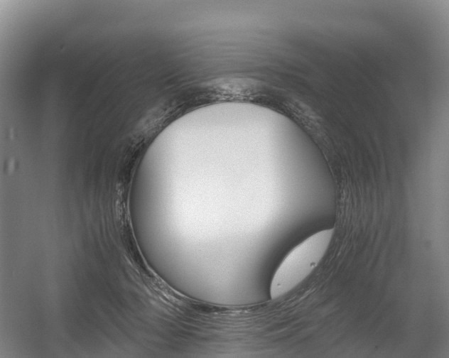 X0000055980318200508190736