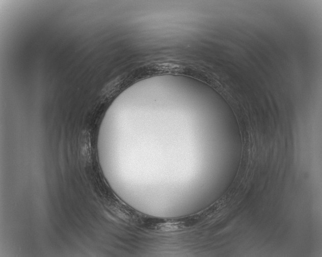X0000055980320200508190736