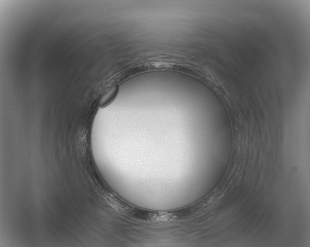 X0000055980321200508190736