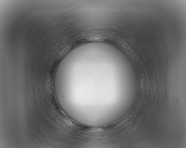 X0000055980322200508190736