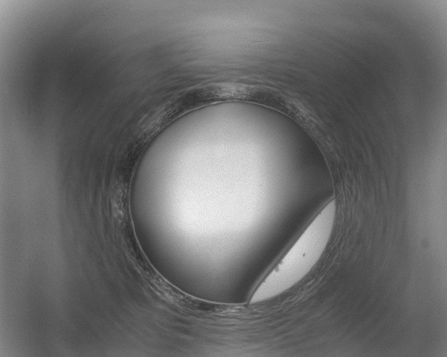 X0000055980325200508190736
