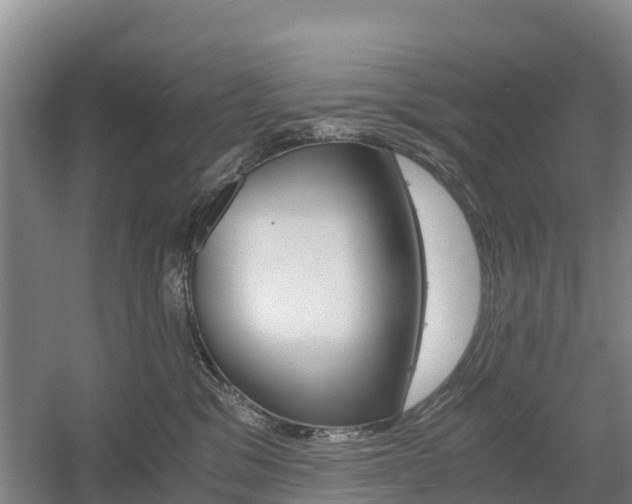 X0000055980329200508190736