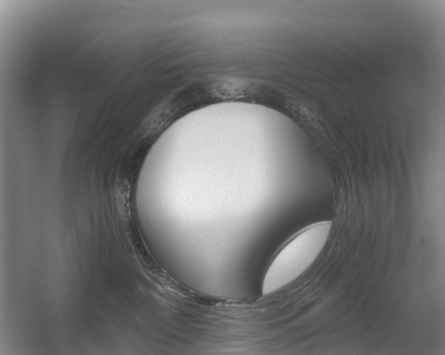 X0000055980332200508190736