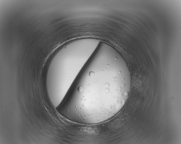 X0000055980347200508190735