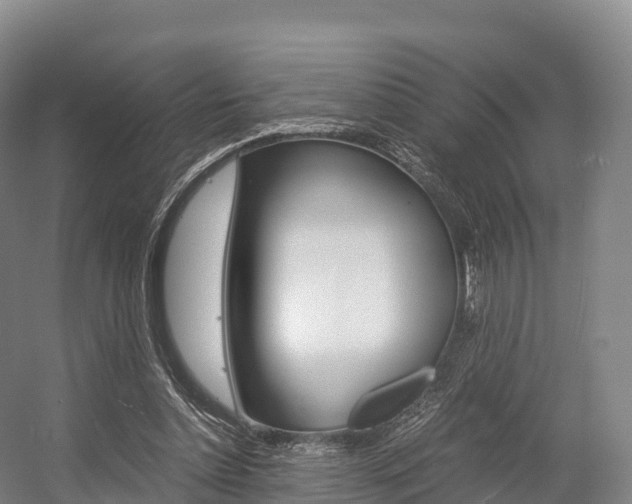 X0000055980348200508190735