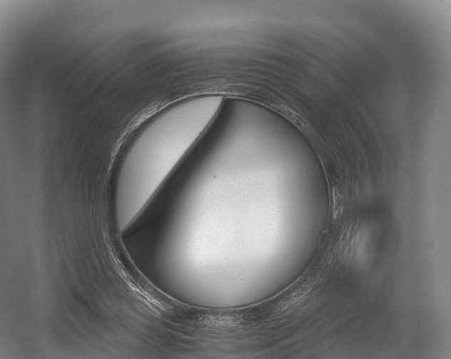 X0000055980349200508190735